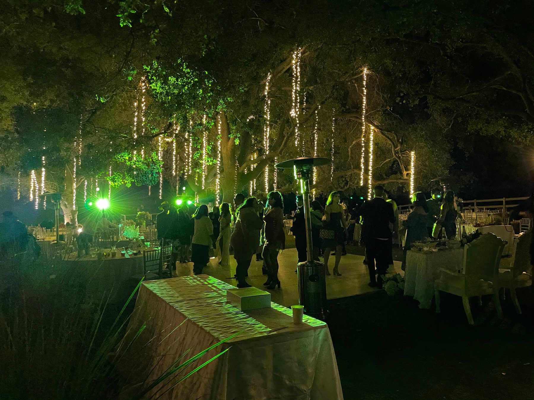 Outdoor wedding lighting design Los Angeles
